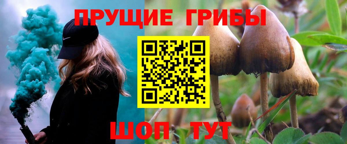 Галлюциногенные грибы GOLDEN TEACHER Томск